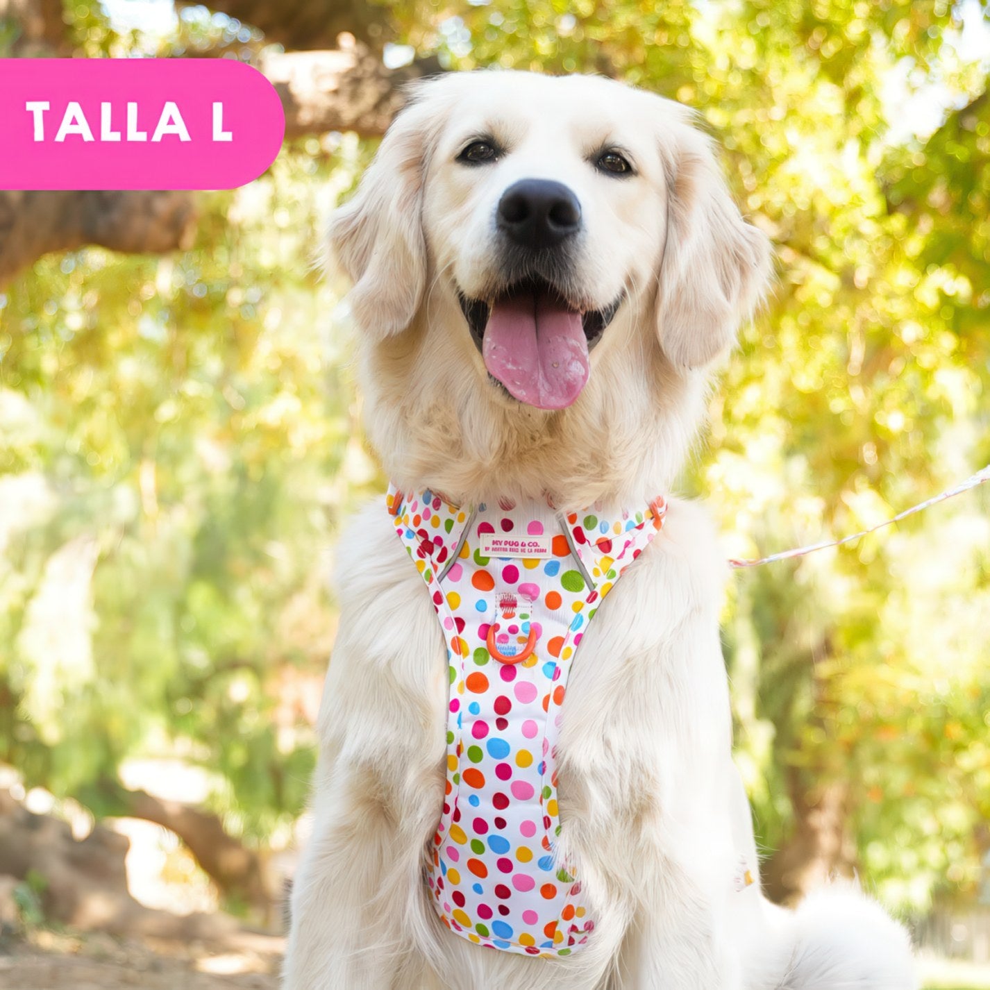 ALL-TERRAIN HARNESS HEARTS