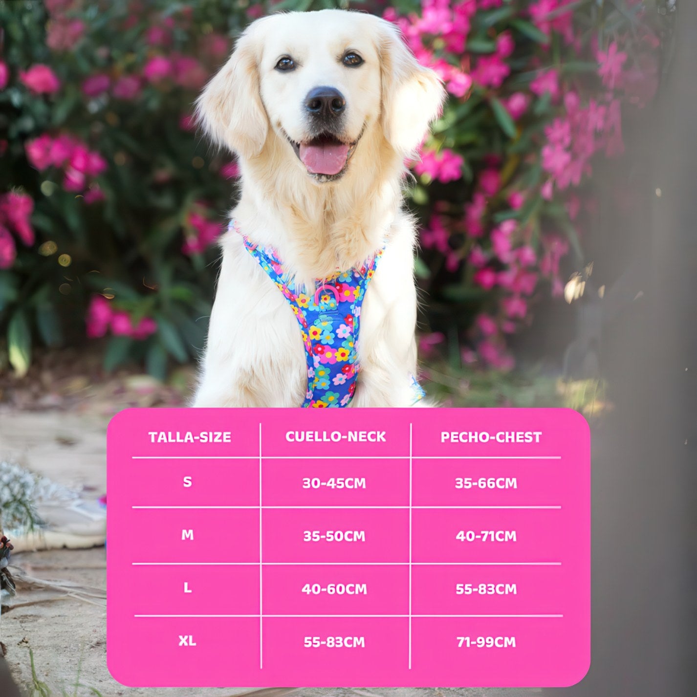 ALL-TERRAIN HARNESS HEARTS