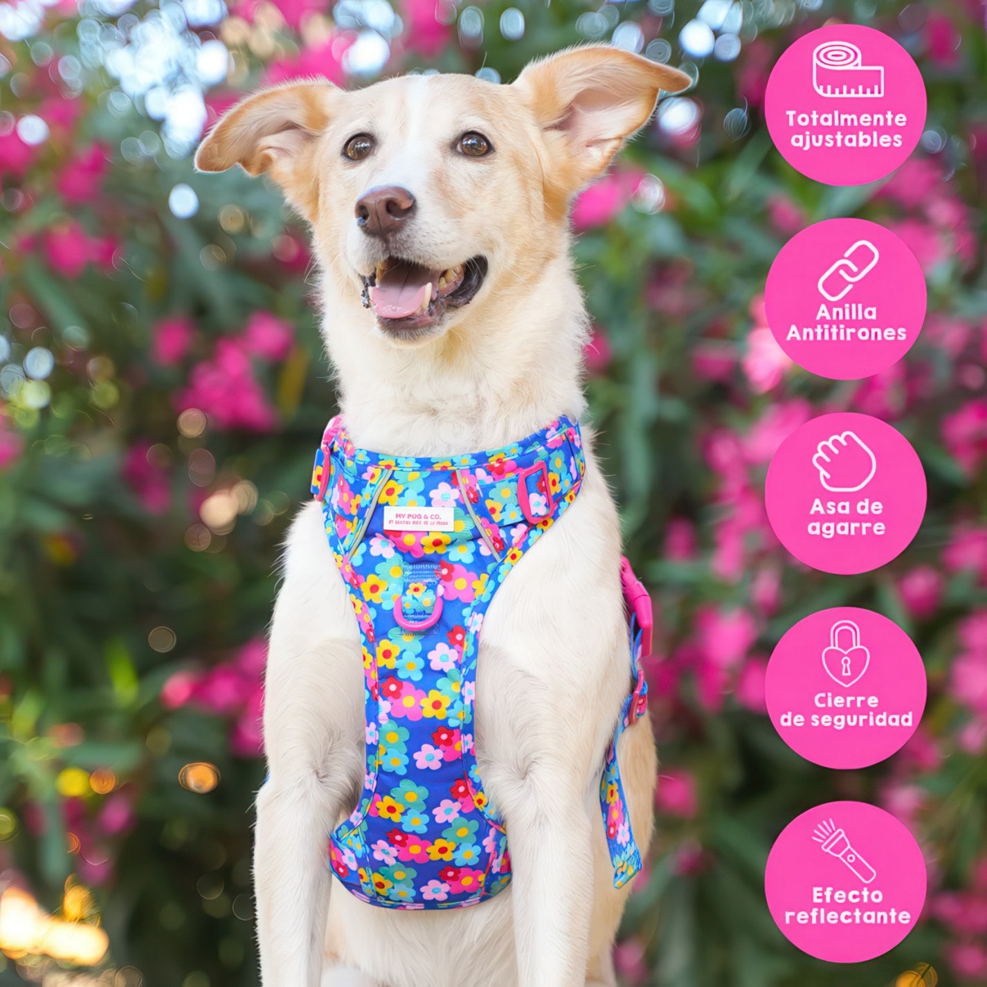ALL-TERRAIN HARNESS HEARTS