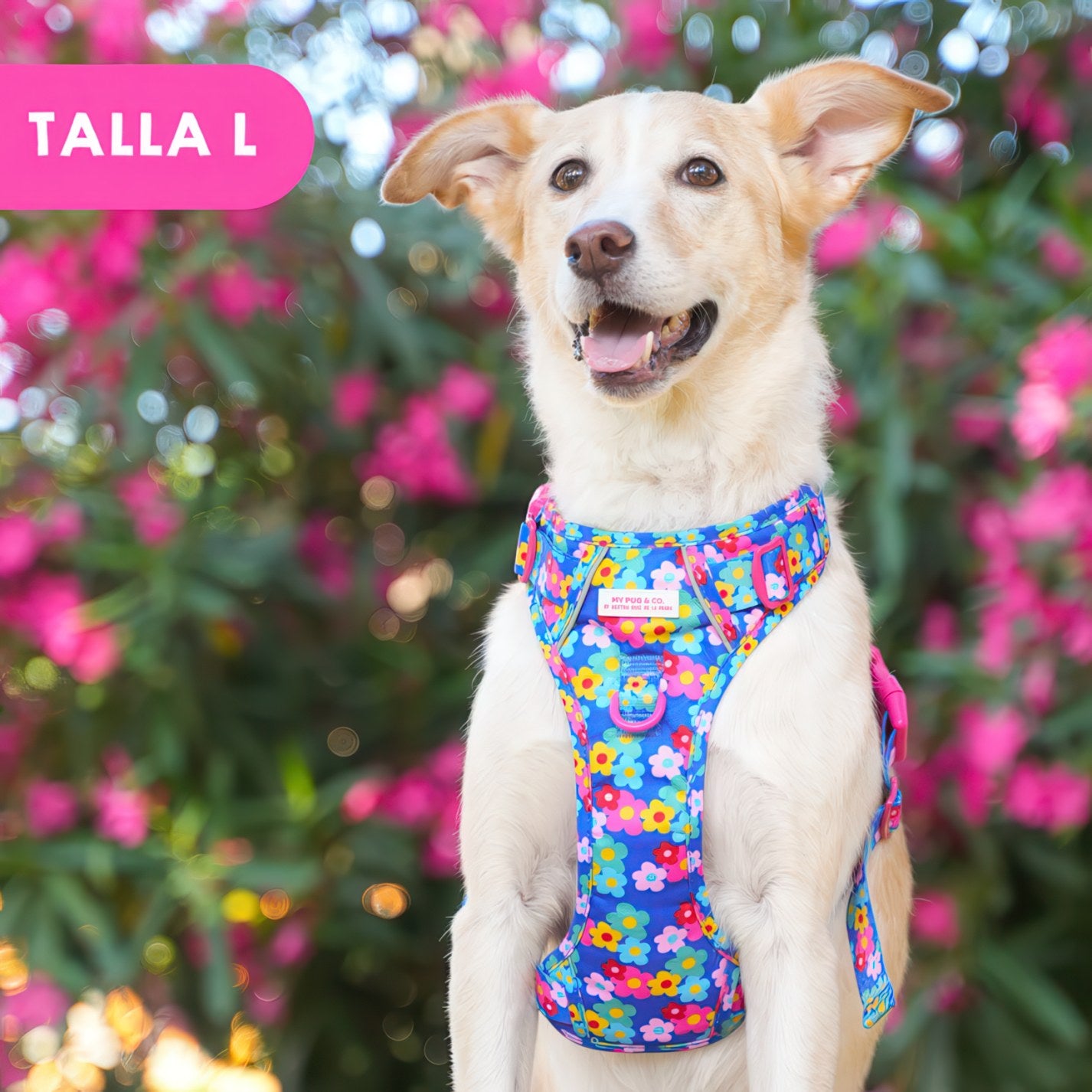 ALL-TERRAIN HARNESS HEARTS