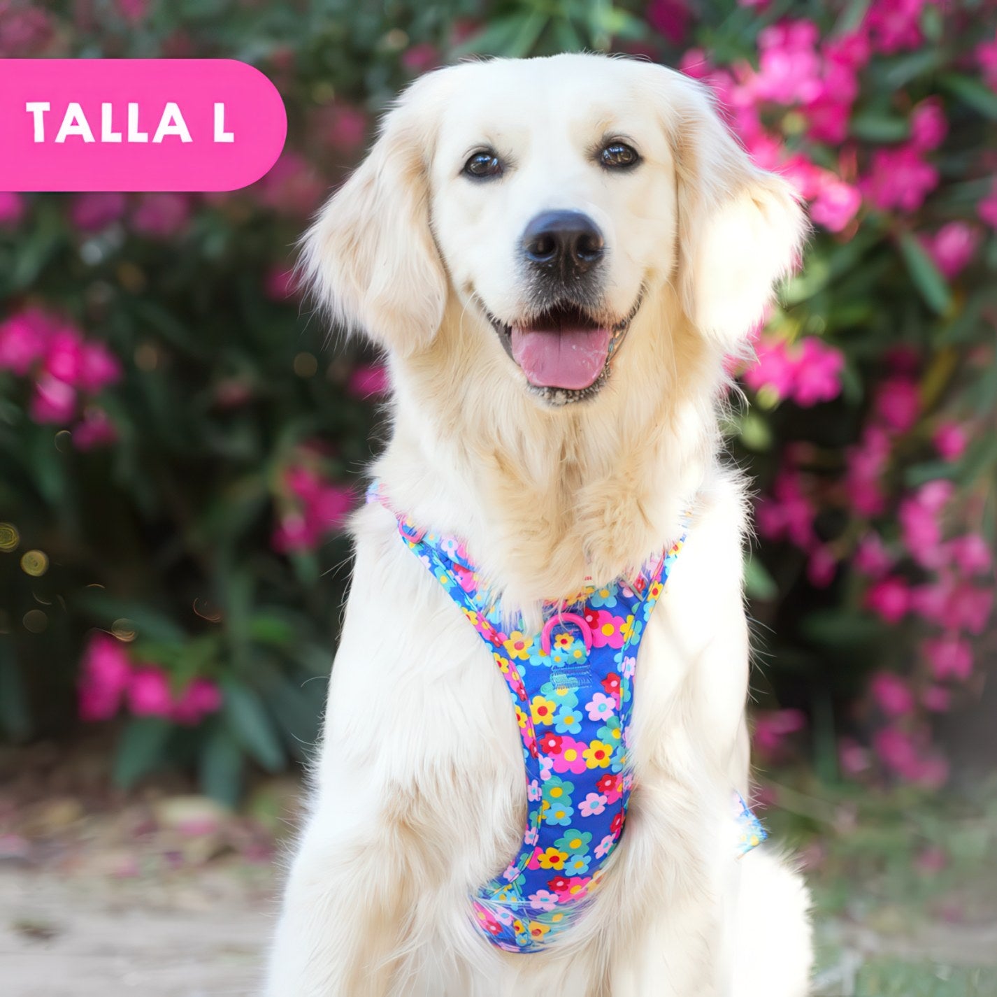 ALL-TERRAIN HARNESS HEARTS