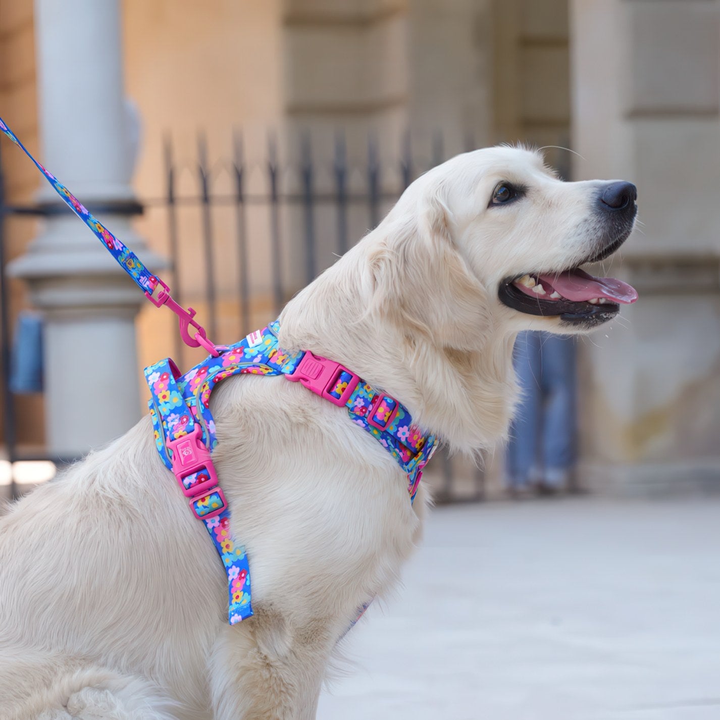 ALL-TERRAIN HARNESS HEARTS