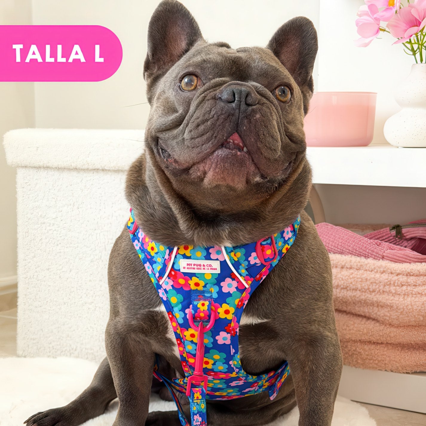 ALL-TERRAIN HARNESS HEARTS